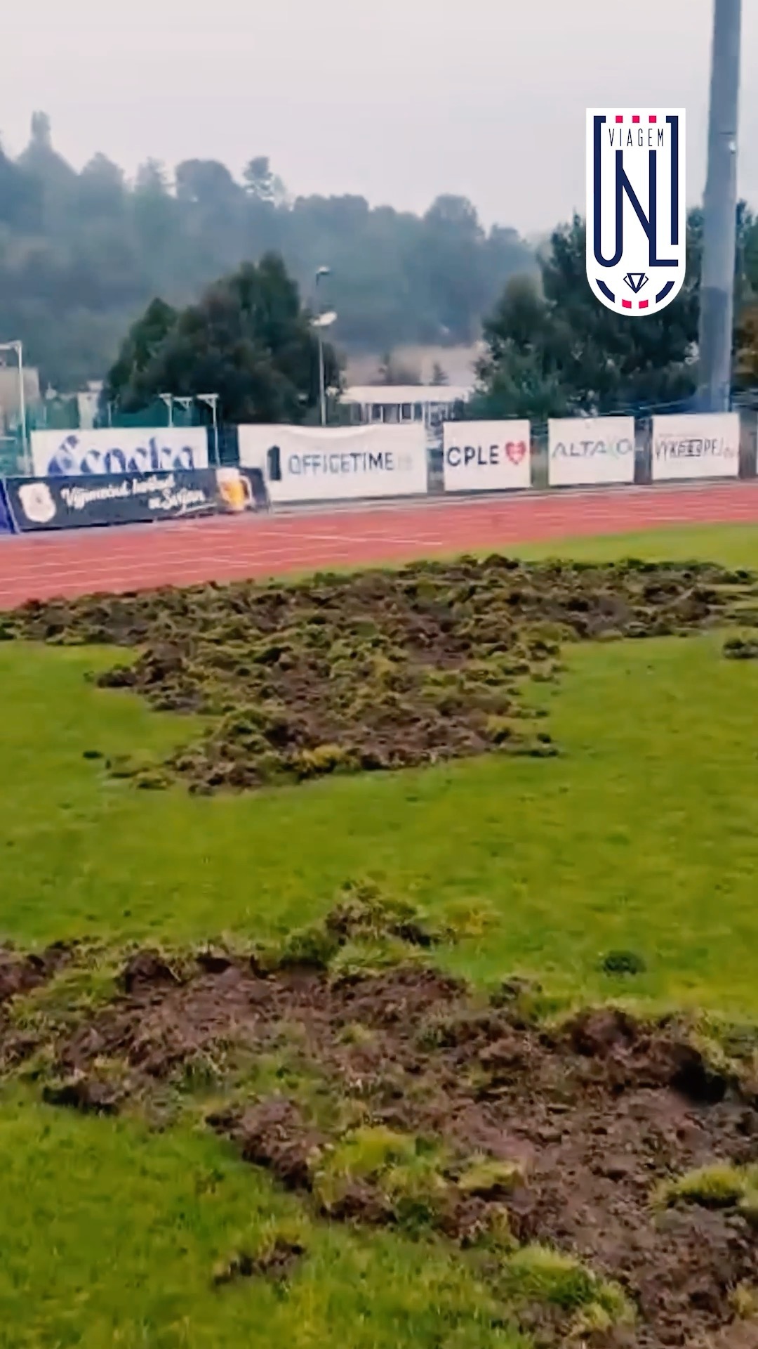 PRASATA NA STADIONU 🐗 V úterý k nám dorazila nečekaná návštěva a rozryla nám hřiště! 😓…